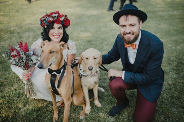 Perros en las bodas